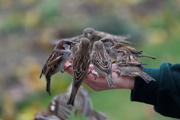 голодание и интуиция