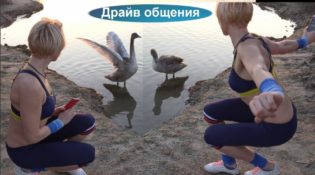 Причина быть всегда в здоровом теле драйв общения (1280x718) (640x359)