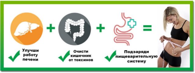 milenamagicdiet -trening-untuitivnogo-pitaniya- Почисти печень разгрузи кишечник омолоди каждую клетку