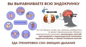 Почему вы набирает вес на диете и фитнесе Милена Позняк